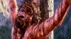 the-passion-of-the-christ.jpg